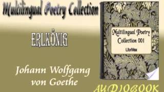 Erlkönig Johann Wolfgang von Goethe Audiobook Poetry [upl. by Connie326]