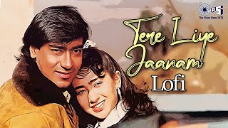 Tere Liye Jaanam  Lofi Mix  Suhaag  SP Balasubrahmanyam KS Chithra  90s Hindi Hit Songs [upl. by Fatimah]