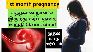 1st month pregnancy symptoms in tamil first month of pregnancy in tamil [upl. by Aciretahs585]