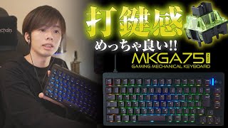 【息をのむ打鍵感】更にゲームが楽しくなる新作キーボードをレビューしてみた【MKGA75MTL】 [upl. by Durnan23]