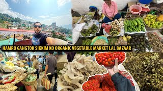 Hamro Gangtok Sikkim Ko Organic Vegetable Market Lal Bazaar  Nepali Vlog [upl. by Ahsenwahs]