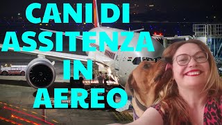 CANI DI ASSISTENZA IN AEREO Animali di supporto emotivo a bordo passeggeri e assistenti di volo [upl. by Evatsug867]