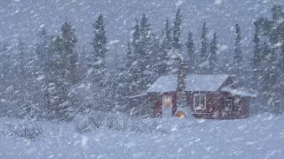 Schneesturmgeräusche Helfen Ihnen Tief Zu Schlafen  Winterluft Und Starker Schneefall [upl. by Nairdad370]