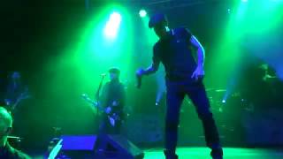 Dropkick Murphys  Buried Alive Live in Houston Texas [upl. by Oniskey979]