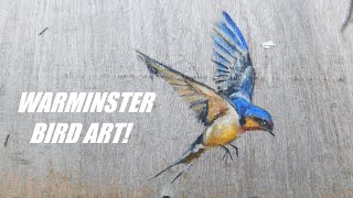 Warminster Bird Art 2021 WARMINSTER [upl. by Mccormac29]