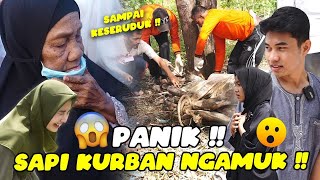 Idul Adha Vlog 😍 [upl. by Annis]