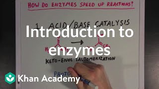 Introduction to enzymes and catalysis  Chemical Processes  MCAT  Khan Academy [upl. by Lonergan792]