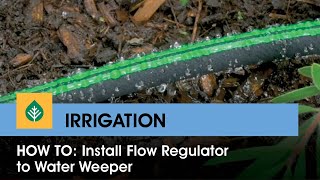 How to Install flow regulator to Water Weeper [upl. by Sihtnyc871]