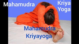 Mahamudra Kriyayoga Swami Nityananda Giri [upl. by Granese]