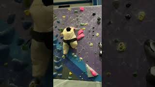 Climbing a V8 Wearing A Fat Suit climbing bouldering challenge shorts [upl. by Anilahs253]