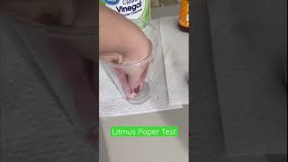 Litmus Paper Test of Vinegar [upl. by Reyna]