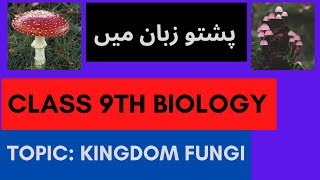 Kingdom fungi  Class 9th biology in pashto  Home of biology [upl. by Orimlede]