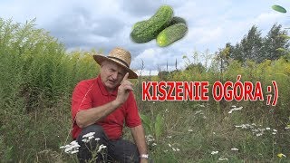 Kiszenie ogórków domowym sposobem [upl. by Araiek571]