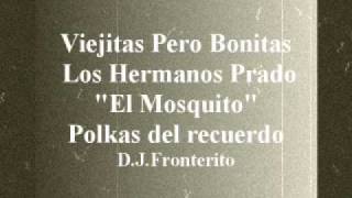 Conjunto Hermanos Prado  El Mosquito Polka [upl. by Vassell]