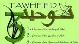 Tawheed and its Importance p18 [upl. by Strephonn]