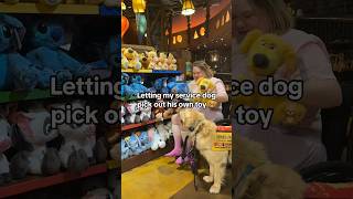 Service dog PAYS for his own toy servicedog dogshorts dogsofyoutube [upl. by Lewison]