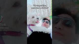 Policía acusado de feminicidio se mostraba así con quotDamiquot su mascota [upl. by Aihtnys649]