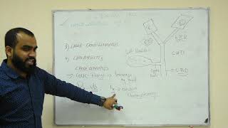 BILIARY PATHOLOGY CHOLELITHIASIS VS CHOLECYSTITIS VS CHOLEDOCHOLITHIASIS VS CHOLANGITIS [upl. by Anaujit694]