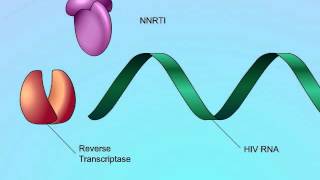 Mechanisms of Action of NonNucleoside Reverse Transcriptase Inhibitors NNRTIs [upl. by Enerual783]