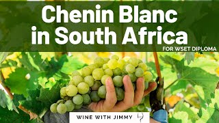 Chenin Blanc in South Africa for WSET Level 4 [upl. by Freemon918]