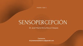 ¿Qué es la Sensopercepción  Clase 13 [upl. by Stephie]