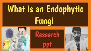 MYCOLOGY2Endophytic FungiICARNETBScMScPhD Rohit S ManeEndophytes WesternGhatsMycology [upl. by Amlev]