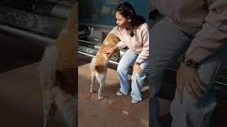 Bus stand wala doggo preshan kr deta hai😅 [upl. by Appleton763]