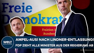 DEUTSCHLAND AmpelAus Nach LindnerEntlassung FDP zieht alle Minister aus der Regierung ab [upl. by Dreddy237]