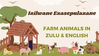 Izilwane Ezasepulazane  Farm Animals in Zulu amp English [upl. by Mccormac]