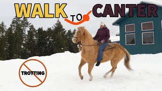 HOW TO TEACH A HORSE TO CANTER FROM THE WALK [upl. by Dragelin]