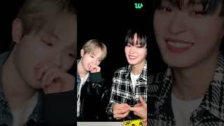 🐶🦉  TEMPEST Weverse LIVE SUB 241022 [upl. by Ettenad221]