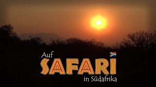 Auf Safari in Südafrika 13 Reportage  Doku  Dokumentation Deutsch [upl. by Verine]