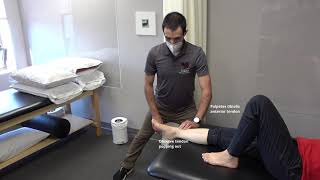 Manual Muscle Test for Ankle DorsiflexionInversion [upl. by Bab]