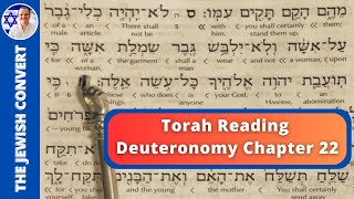 Deuteronomy Chapter 22  Torah Reading in Hebrew with English Translation  TORAH STUDY [upl. by Oag30]