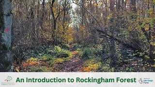 An Introduction to Rockingham Forest [upl. by Anotal]