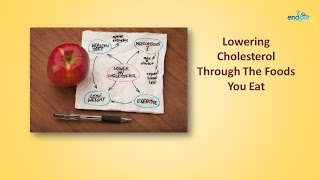 Lowering Cholesterol Through The Foods You Eat  Foods That Lower Cholesterol [upl. by Oel]