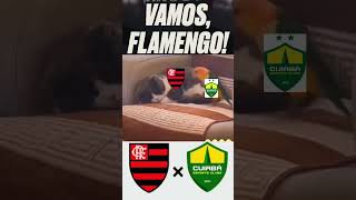 Cuiabá x Flamengo flamengo Cuiabá Brasileirão [upl. by Atinev]