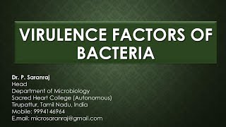 Virulence Factors of Bacteria [upl. by Anigroeg]