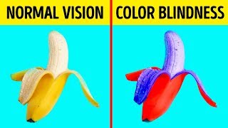 How Color Blind People See the World [upl. by Harve]