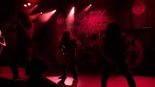 Cattle Decapitation  Death Atlas Live in Brisbane 2020 [upl. by Wolk]