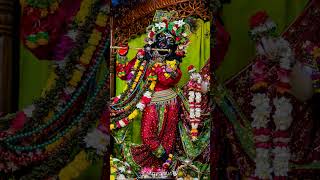 Today Radha Madhav Darshan music iskcon mayapurtv vrindavan [upl. by Ahsienor948]