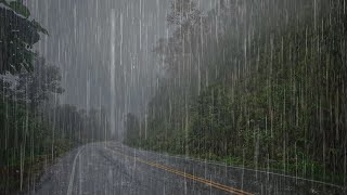 Sonido de Lluvia para un Sueño Profundo y Relajación Mental en 5 minutos  Lluvia en Camino Brumoso [upl. by Berardo496]