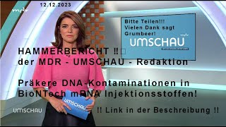 🔥🔥🔥 HAMMERBERICHT ‼️‼️ der MDR  UMSCHAU  Redaktion vom 121223  Link in der Beschreibung [upl. by Ehcsrop598]