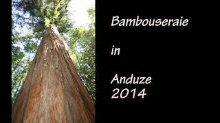 2014 Bambouseraie de Prafrance  Anduze  Gard  Frankrijk [upl. by Nivra854]