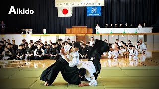 This is Aikido Model demonstration in 2020  Shirakawa Ryuji shihan [upl. by Hsur348]