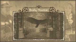 Brushy Mountain A murder ballad prison song [upl. by Rebmak]