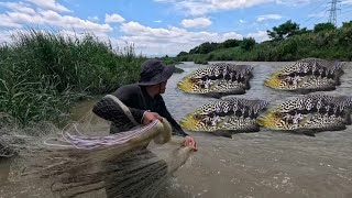 Bihira Mangyare To Pinakamahal Na Isda Sa Buong Mundo Huli Sa Ilog [upl. by Ainolopa858]