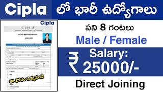 Cipla లో ఉద్యోగాలు  Cipla Recruitment for Freshers 2024  Private company job vacancy 2024 [upl. by Cathee]