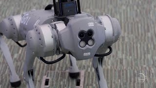 STISD  Science Academy amp World Scholars Introduce Robot Dog to Computer Science Courses [upl. by Aivata]