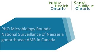 PHO Microbiology Rounds National Surveillance of Neisseria gonorrhoeae AMR in Canada [upl. by Jezebel]